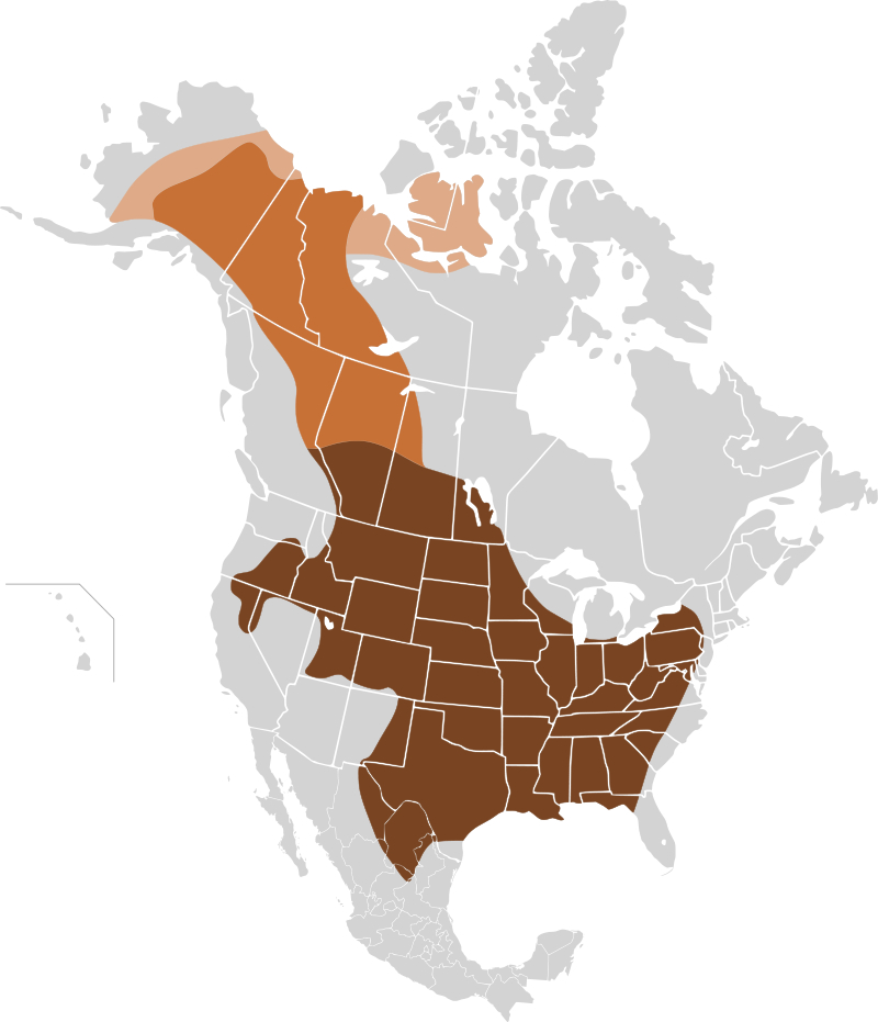 buffalo-map