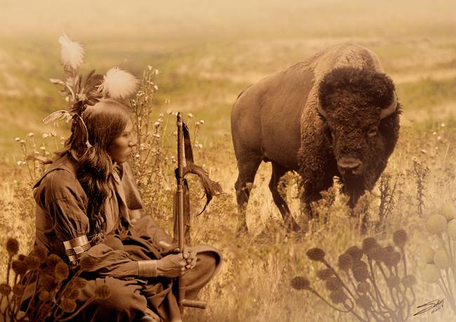 native-american-sioux-and-bison_art